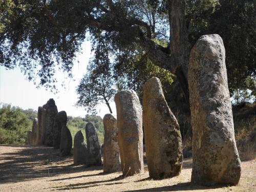 a group of stone statues in front of a tree at B&B I Menhir in Sorgono