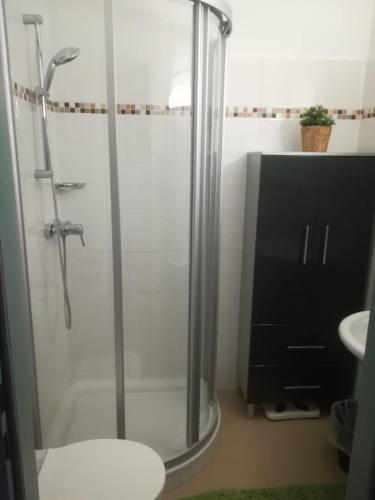 a bathroom with a shower with a toilet and a sink at Ferienwohnung Evi in Sankt Gilgen