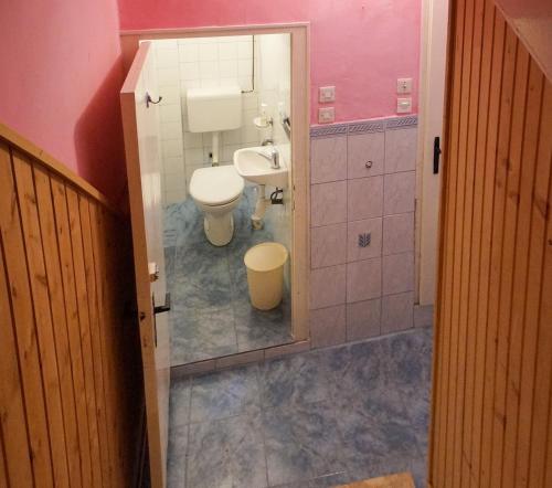 un baño con inodoro y lavabo en Apartman Gržin, en Mošćenička Draga