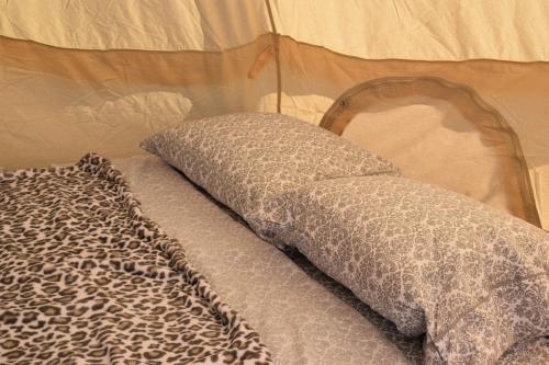 a leopard print blanket and pillow on a bed at Starlight Tent 1 in Holbrook