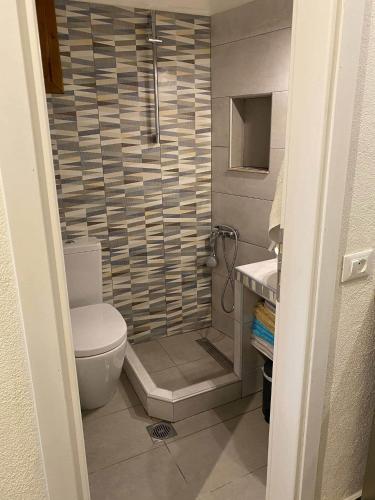 a bathroom with a toilet and a shower at Mare Nostrum in Neos Marmaras
