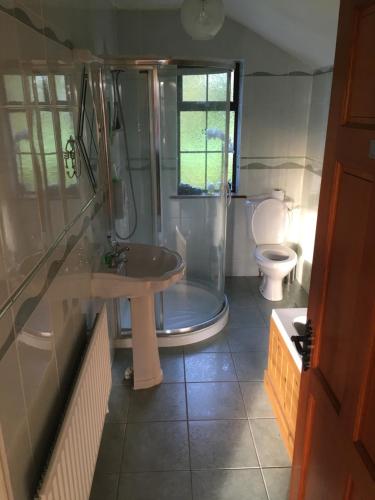 a bathroom with a shower and a sink and a toilet at Oakdale Templemore, E41Y650 in Templemore