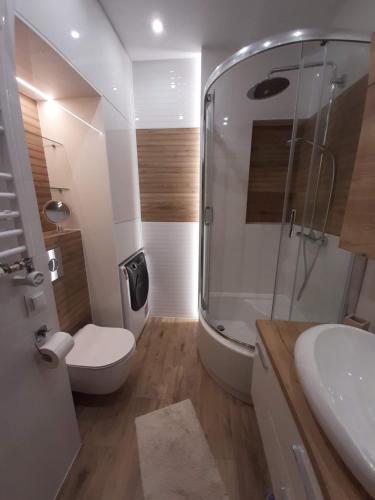 a bathroom with a shower and a toilet and a sink at Apartament LUX in Ełk