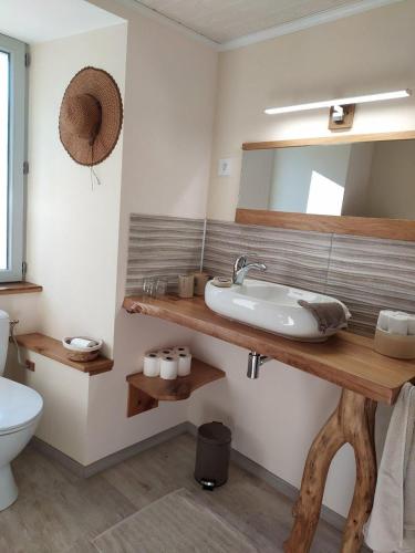 une salle de bain avec un lavabo et un miroir et des toilettes dans l'établissement La Ferme Les Mamours, à La Bastide-lʼÉvêque