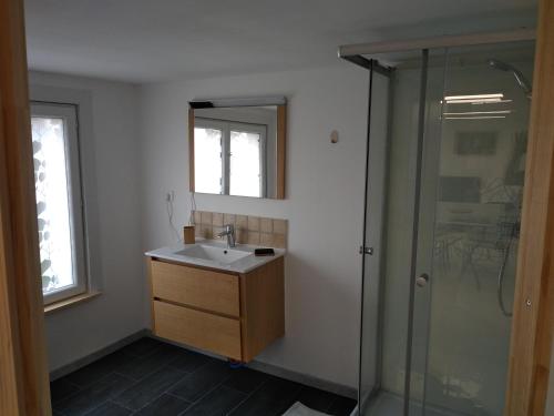 a bathroom with a sink and a shower at Belle vue au coeur de la verdure in Aisey-sur-Seine