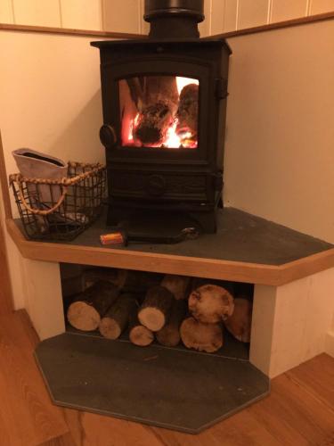 a fireplace with some stuffed animals in front of it at 40 Bernisdale - Shepherds Hut in Skeabost