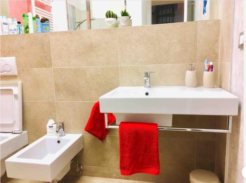 a bathroom with a white sink and red towels at Casetta Nica in Torvaianica