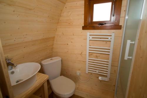 a small bathroom with a toilet and a sink at Ferien im Naturwagen Pod 1 in Diedrichshagen