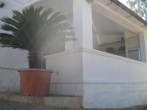 Gambar di galeri bagi LamAmare di Polignano a Mare