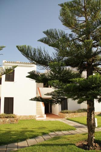Barracuda Vilamoura