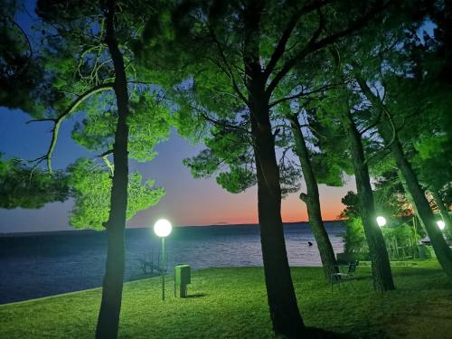 Gallery image of The beach house in Tribanj in Starigrad-Paklenica