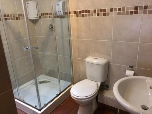 a bathroom with a shower and a toilet and a sink at De Oude Herberg in Centurion