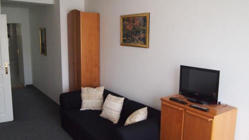 a living room with a black couch and a flat screen tv at Penzion Jany in Luhačovice