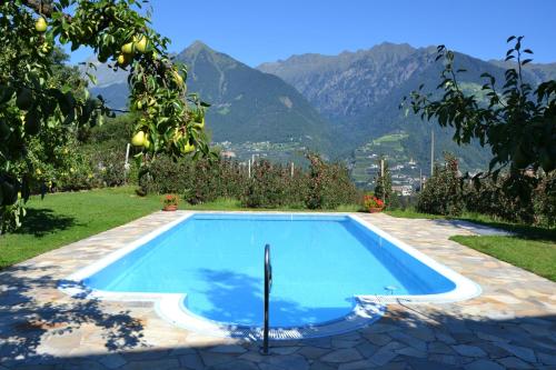The swimming pool at or close to Plunerhof