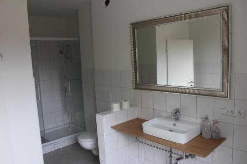 uma casa de banho com um lavatório, um WC e um espelho. em Dünenhaus Wohnung 3 em Travemünde