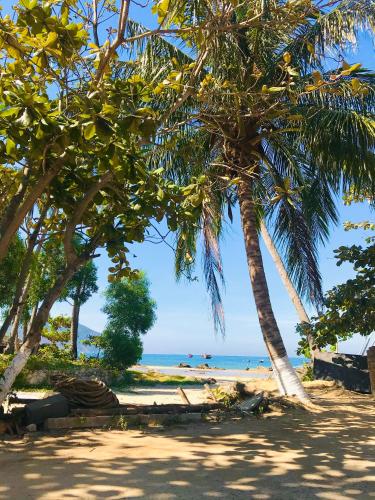 a group of palm trees on a beach at Nhi Lo Home Stay in Tân Hiệp