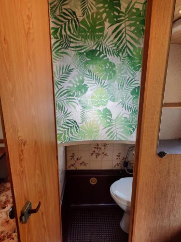 a bathroom with a toilet and a green and white wallpaper at ADAM 23 in Werder