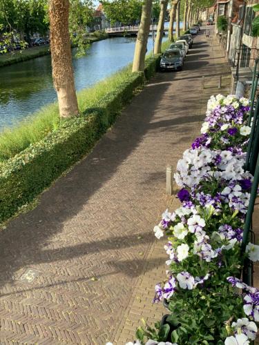 a sidewalk with flowers next to a river at Kromme weele 26 in Middelburg