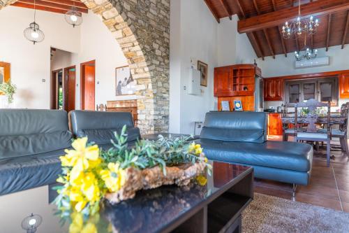 Ruang duduk di Lefkara Villa