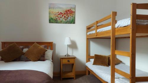 a bedroom with two bunk beds and a ladder at Helmsdale Lodge Hostel - all rooms en-suite in Helmsdale