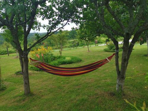 a hammock hanging between two trees in a field at Apartments Laura in Rakovica