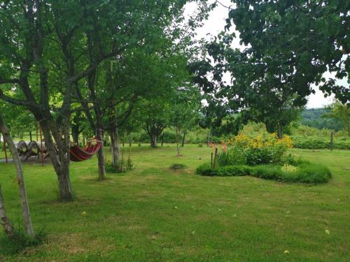 a hammock hanging from a tree in a field at Apartments Laura in Rakovica