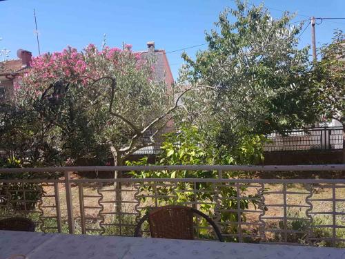 Guesthouse Klaric