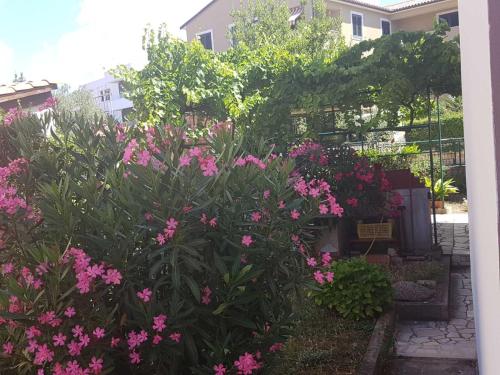 Guesthouse Klaric