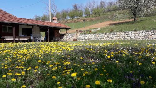 グチャにあるGuca village homeのギャラリーの写真