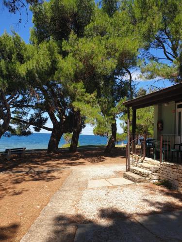 a house with trees and the ocean in the background at Family Bungalow Pineta in Novigrad Istria