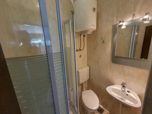 a bathroom with a shower and a toilet and a sink at Makjanic Apartment in Jelsa