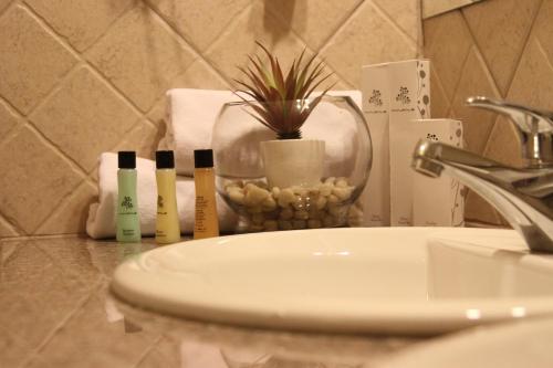 ein Waschbecken mit drei Zahnbürsten und einer Topfpflanze in der Unterkunft Accommodation Dolcino in Ulcinj