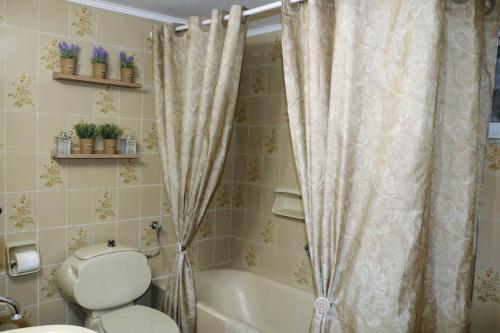 a bathroom with a toilet and a shower curtain at Vasilis House in Theológos