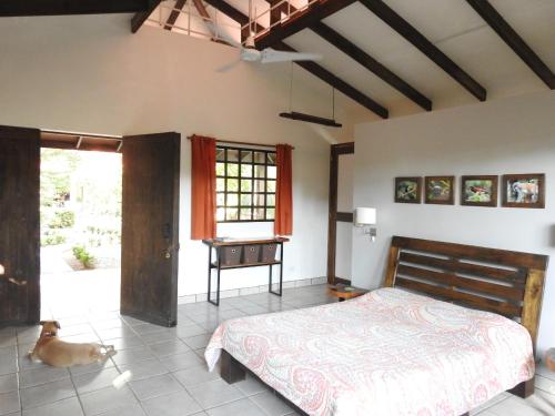 a bedroom with a bed and a dog sitting on the floor at Casas Buenas Brisas in Ojochal