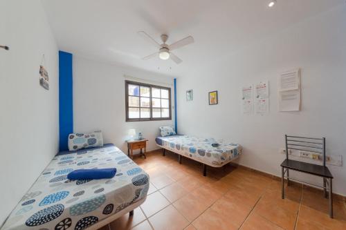 Katil atau katil-katil dalam bilik di La Tortuga Hostel