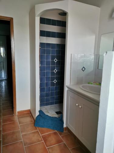 une salle de bain avec un lavabo et une douche avec du carrelage bleu dans l'établissement LA BASTIDE DE NINI, à Carcès