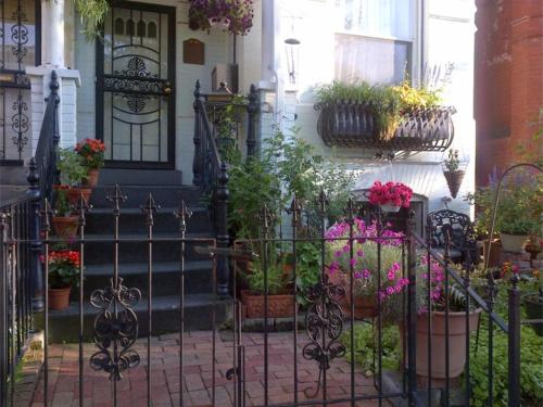 a black gate with potted plants on a house at Ledroit Park Renaissance B&B in Washington, D.C.