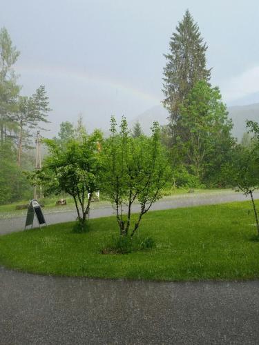a park with green grass and trees on a road at Sporthotel Grünau - Wimmergreuth in Grünau im Almtal