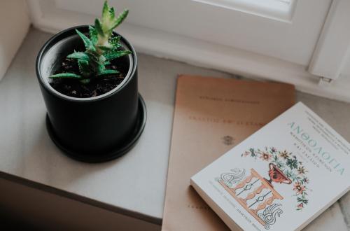 a plant in a pot sitting next to a book at Pension Nikolaos in Nafplio