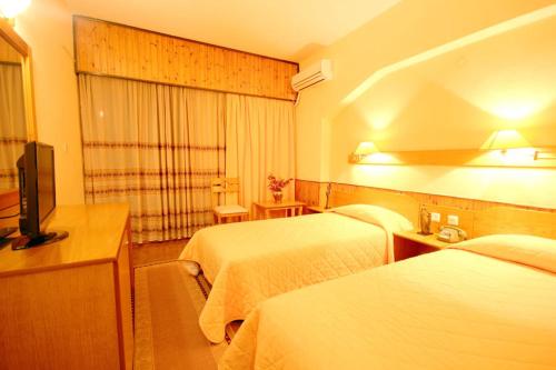 Ένα ή περισσότερα κρεβάτια σε δωμάτιο στο Milionis Forest Hotel