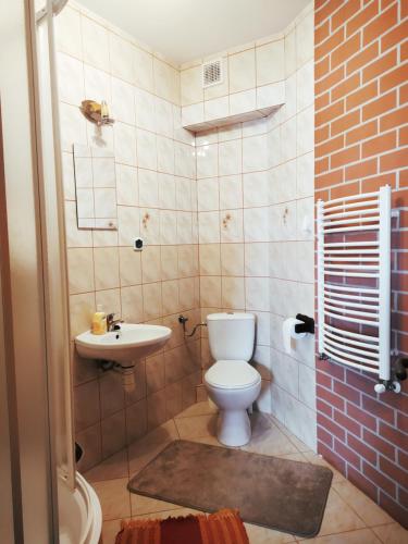 a bathroom with a toilet and a sink at Borsuki pod Lipą in Sarnaki