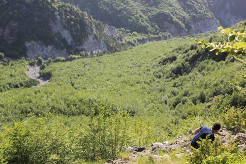 a man standing on a hill looking at a valley at Guest House Sabriu in Rabdisht