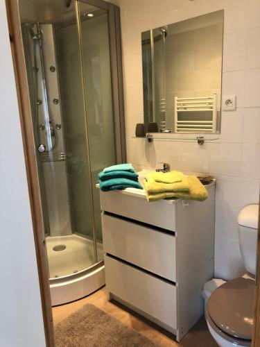 uma casa de banho com um chuveiro, um lavatório e um WC. em La Maisonnette auvergnate em Vertaizon