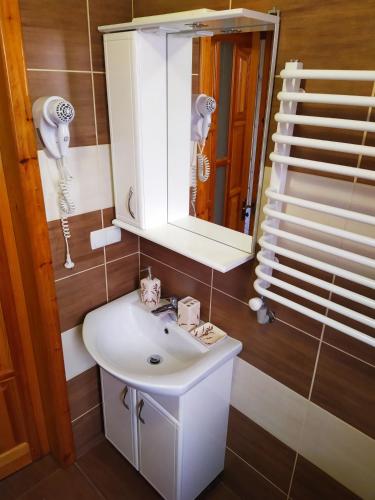 a bathroom with a white sink and a mirror at Guest House Shafran in Yaremche