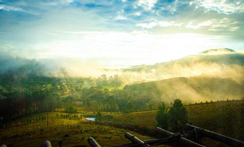 Yahoo ecolodge