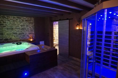 y baño con bañera y ducha a ras de suelo. en Domaine de Vandenesse & Spa en Vandenesse-en-Auxois