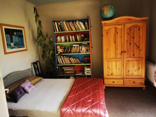 a bedroom with a bed and a book shelf with books at Gold Sun Zelta Saule in Matkule