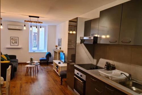 une cuisine et un salon avec un canapé et une table dans l'établissement Ajaccio appartement vielle ville - 4 personnes, à Ajaccio