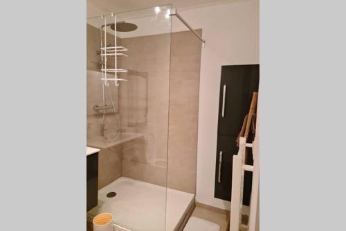 une douche avec une porte vitrée dans une salle de bain dans l'établissement Ajaccio appartement vielle ville - 4 personnes, à Ajaccio