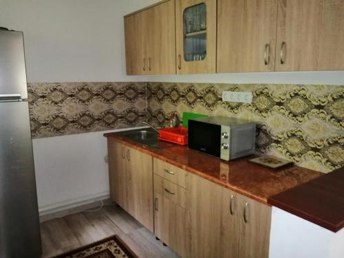 a kitchen with a counter top with a microwave at Cabana La Cucu in Vadu Moţilor